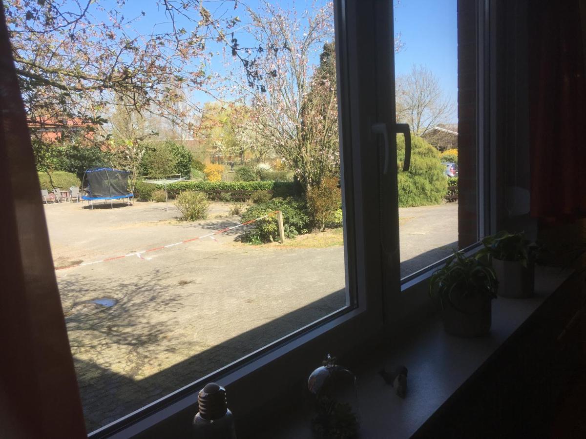 Ferienwohnung Tauchen Im Kreidesee, Keine Monteuerunterkunft Hemmoor Eksteriør bilde